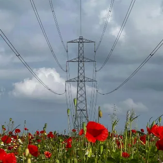 Counting Pylons by Harmony Kleinman