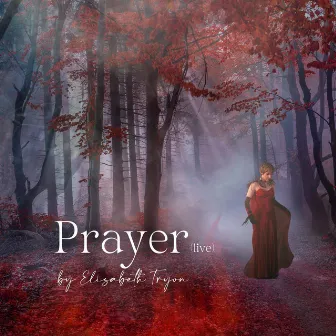 PRAYER (Live at New York City, 2023) by Rolf Løvland