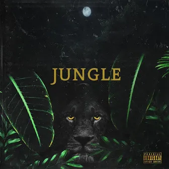 Jungle by Jermin