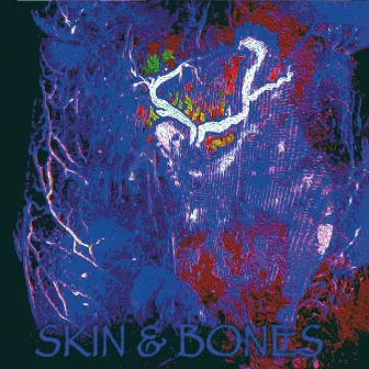 Skin & Bones by Ari Mintz