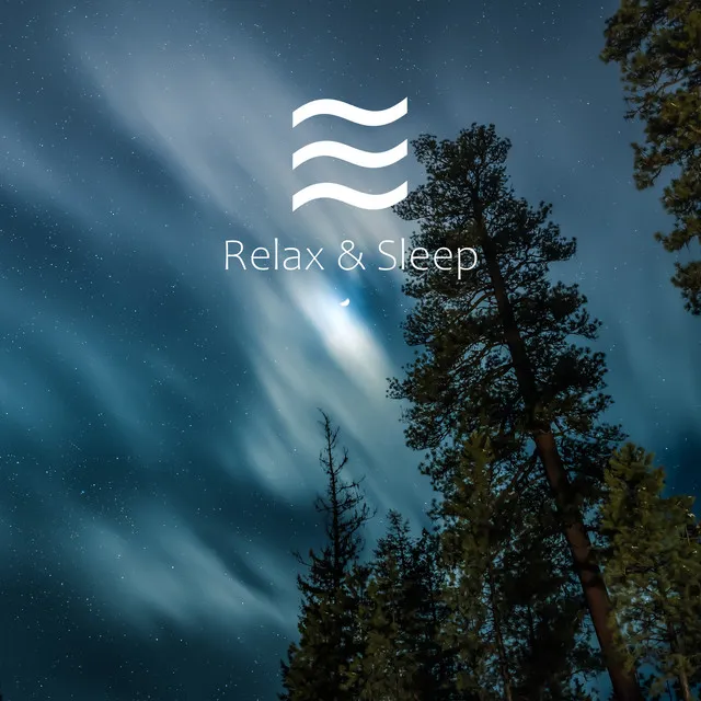 Calm Soothing Soft Sleep Waves