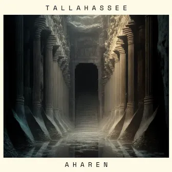 Tallahassee by Aharen