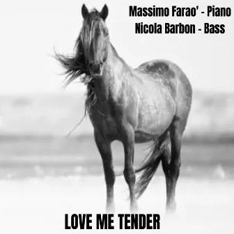 Love Me Tender by Nicola Barbon