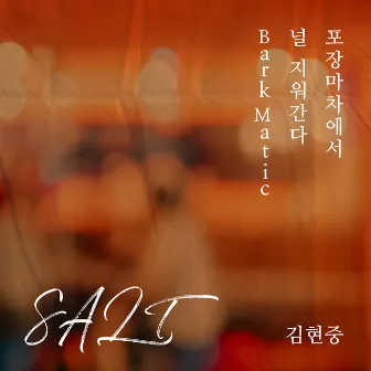 SALT by Kim Hyun Joong