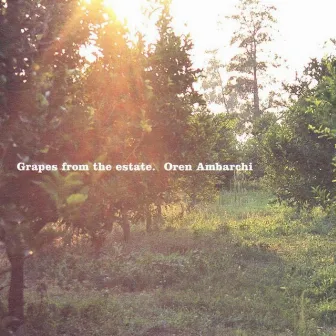 Grapes from the Estate by Oren Ambarchi