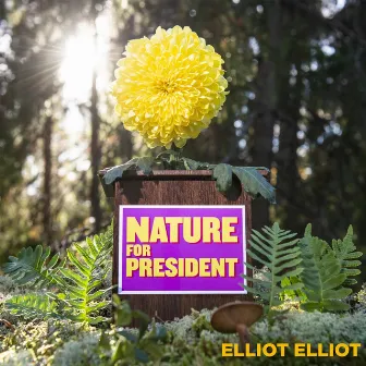 Nature for President by Elliot Elliot