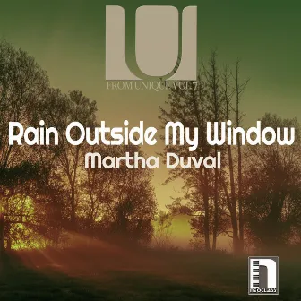 Rain Outside my Window by Martha Duval