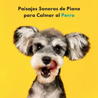 Paisajes Sonoros De Piano Para Calmar Al Perro by Jazz instrumental fácil