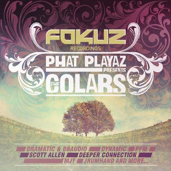 The Colabs Album by Phat Playaz