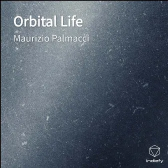 Orbital Life by Maurizio Palmacci