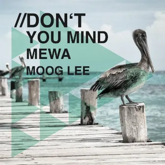 Don't You Mind by Moog Lee