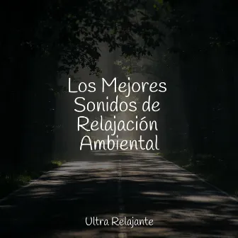 Los Mejores Sonidos de Relajación Ambiental by Musicas Crianças