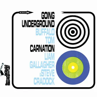 Going Under Ground / Carnation by Steve Cradock