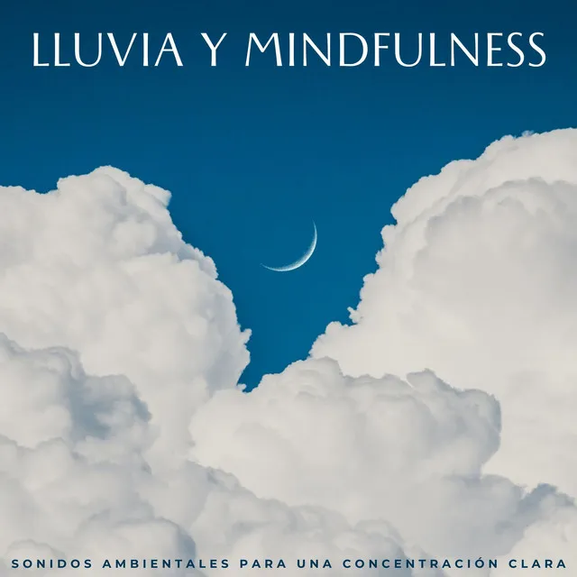 Lluvia Y Mindfulness: Sonidos Ambientales Para Una Concentración Clara