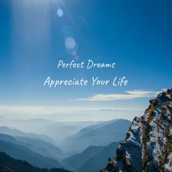 Appreciate Your Life by Perfect Dreams