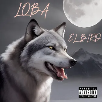 Loba by El Bird