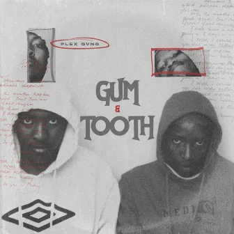 Gum & Tooth by Flex Gvng