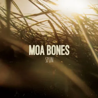 Spun by Moa Bones