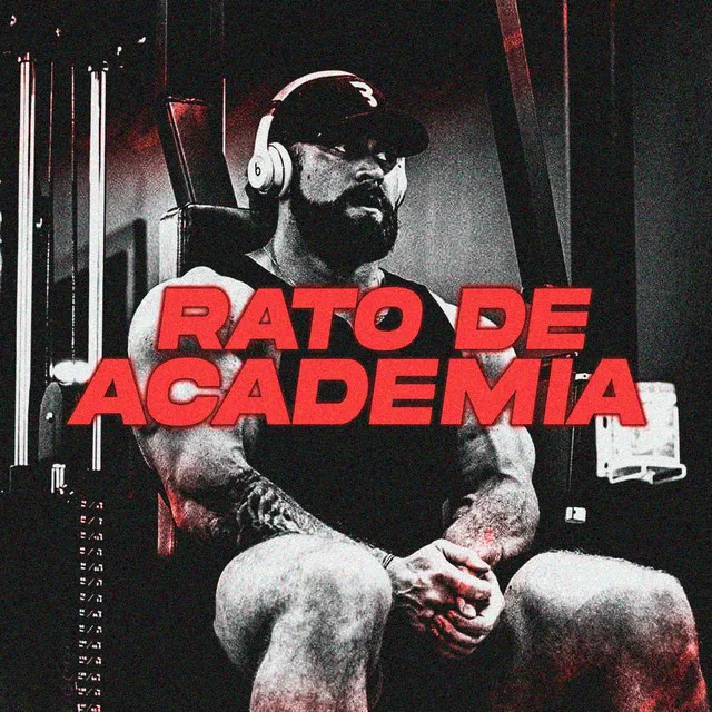 Rato de Academia