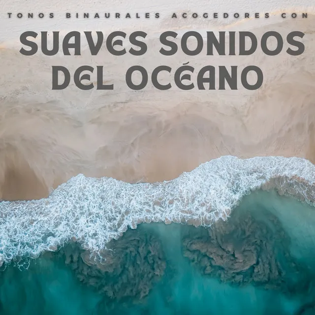 Tonos Binaurales Acogedores Con Suaves Sonidos Del Océano