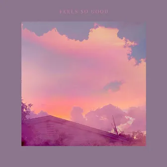 Feels So Good by Tokyo Elvis