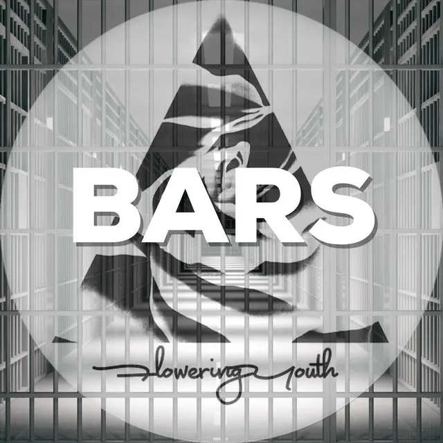 Bars