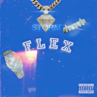 FLEX by AB STORM