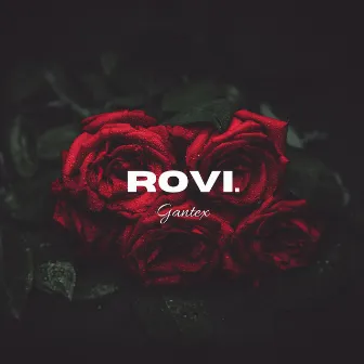 Rovi by Gantex