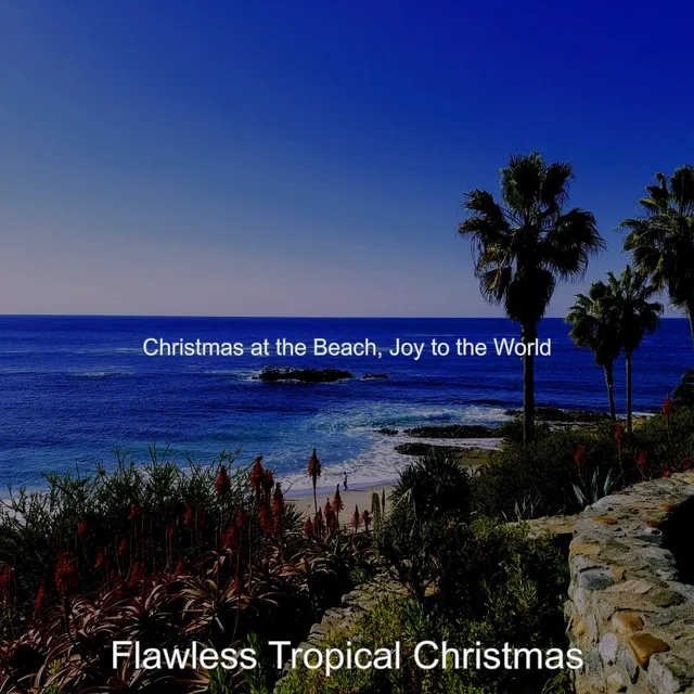 Christmas at the Beach, Joy to the World