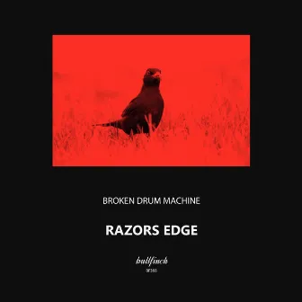 Razors Edge by Broken Drum Machine