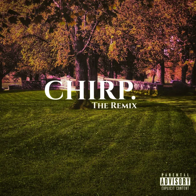 CHIRP. (THE Remix)