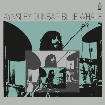 Blue Whale by Aynsley Dunbar