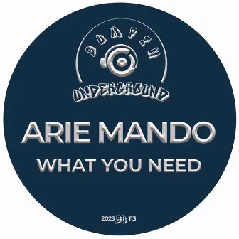 What You Need by Arie Mando