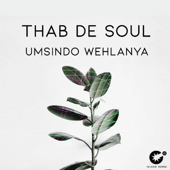 Umsindo Wehlanya by Thab De Soul