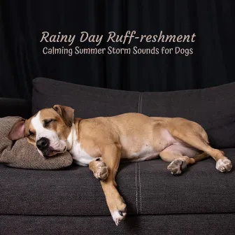 Rainy Day Ruff-reshment: Calming Summer Storm Sounds for Dogs by Dogs