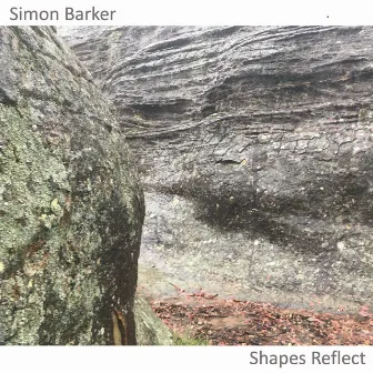 Shapes Reflect by Simon Barker