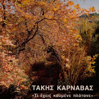 Ti Eheis Kaymene Platane by Takis Karnavas