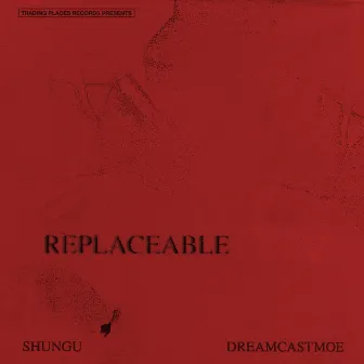 Replaceable by dreamcastmoe