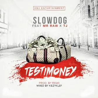 Testimony (feat. Mr Raw & Tj) by Slow dog