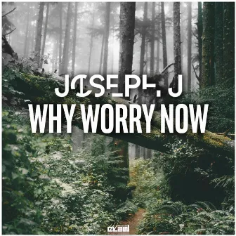 Why Worry Now by Joseph J