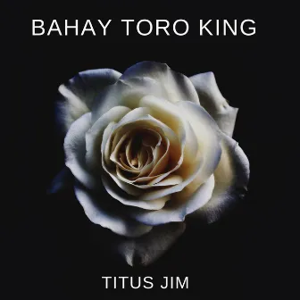 Bahay Toro King by Titus Jim