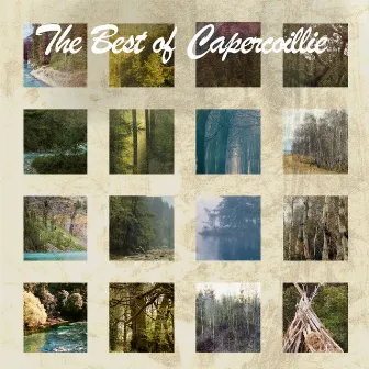 The Best Of Capercaillie by Capercaillie