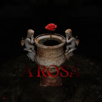 A Rosa by ENOCK