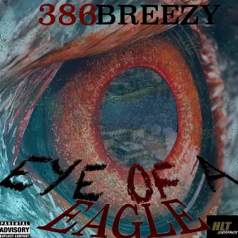 Eye of a Eagle by 386breezy