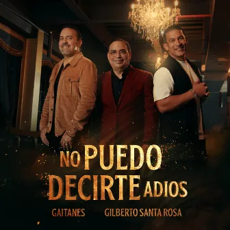 No Puedo Decirte Adiós by Gaitanes