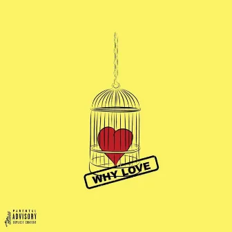 Why Love by Deo C.