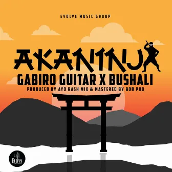 Akaninja by Gabiro Guitar