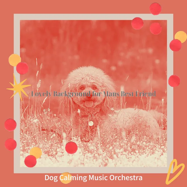 Dog Calming Music Orchestra