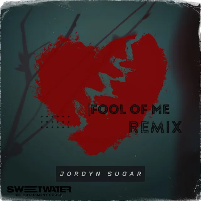 Fool of Me (Remix)