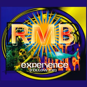 Experience (Follow Me) by RMB